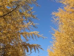 -辽宁大学(崇山校区)