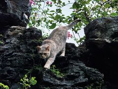 -顺峰山公园