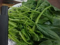 -鑫龙火锅城(阳光新路店)