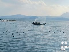 -海埂大坝