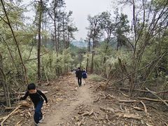 -青龙山国家森林公园