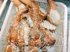 -尚海豆捞(乐虹坊店)