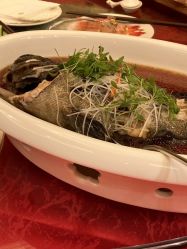 -上海虹桥锦江大酒店·宴会厅