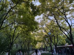 -南翠屏公园