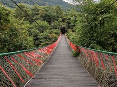 -天台国家森林公园水上茶乡九鹏溪