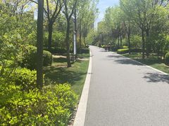 -迎泽公园