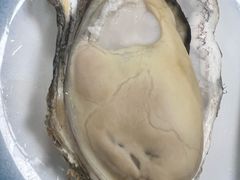 -江村四哥新鲜牛肉店(江高总店)