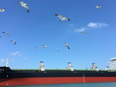 -海驴岛(荣成市)