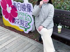 -合肥滨湖国家森林公园