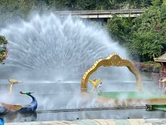 -西双版纳原始森林公园