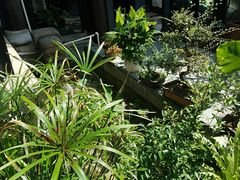 -证大大拇指广场(芳甸路店)