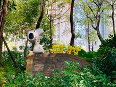 -史努比缤纷世界