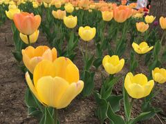 -长春公园(普阳街道)