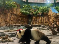 -泉州海丝野生动物世界