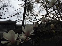 -四川大学(华西校区)