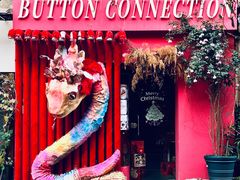 -溪岸路花鸟市场