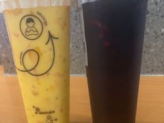 -雾与山茶(大禹城店)