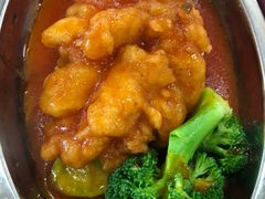 松鼠鱼-北京大学-燕南食堂