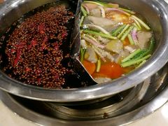 鸳鸯锅-朱氏胖子烂火锅(洪崖洞店)