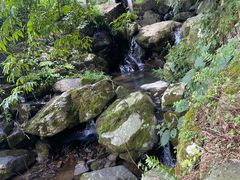 -藏龙百瀑风景区