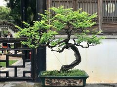 -中山詹园