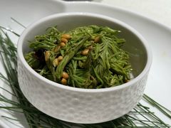 巧拌云南松针芽-悦融琥珀·京鲁菜·海味珍品(西单店)