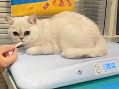 -美迦爱-牙专科·兔科·骨科诊疗中心(北苑店)