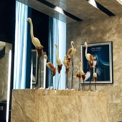 -AKOZO Beauty Salon
