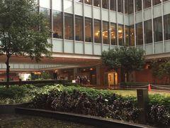 -香港大学