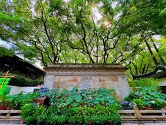 -上海醉白池公园