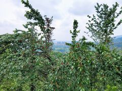 -樱桃山旅游景区