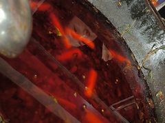 -老哥门肥肠鱼(南坪店)