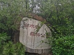 -白水寺森林公园