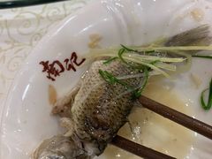 -寻味顺德·南记酒家·传统顺德菜·鱼生(广源路店)