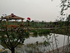 -同銮特种养殖场·龙虾垂钓