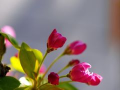 -后现代城