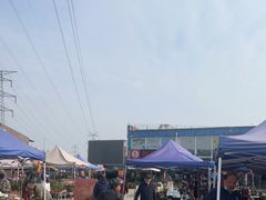 -中环花鸟鱼虫市场