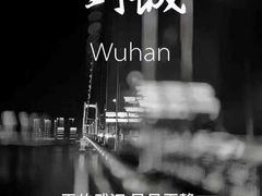 -武汉紫薇都市田园