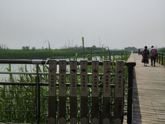 -太湖湖滨国家湿地公园-停车场