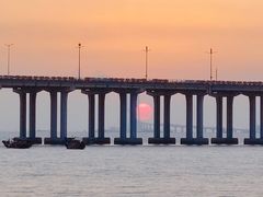 -宝安西湾红树林湿地公园