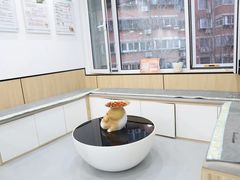 -瑞派雷欧宠物医院·24h夜诊·心脏骨科牙科·全科重症转诊中心(无影山店)