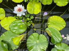 -国家植物园南园