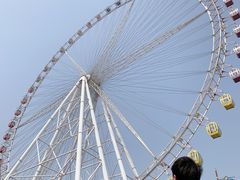 -江南环球港