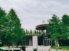 -黄海国家森林公园