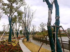 -上海长兴岛郊野公园