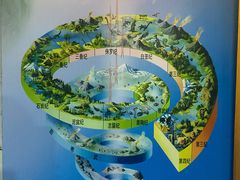 -吉林省自然博物馆