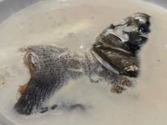 -久宴·天目湖大鱼头(恐龙园店)