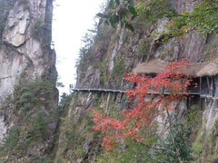 android_upload_pic-大明山自然探索公园