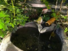 -财神鸡煲(华强北店)