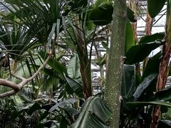 -北京植物园-展览温室